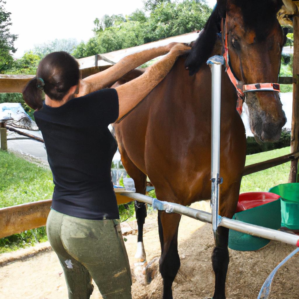 Woman adjusting horse's spinal alignment