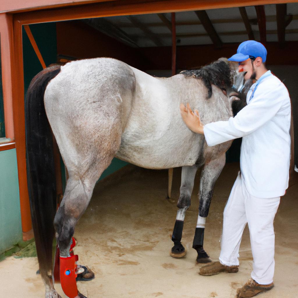 Chiropractor treating horse with lameness
