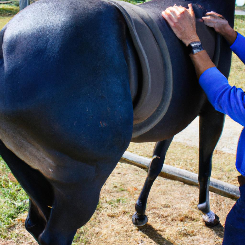 Person performing chiropractic adjustment on horse