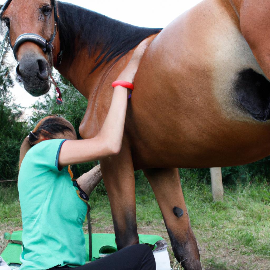 Woman performing chiropractic adjustment on horse