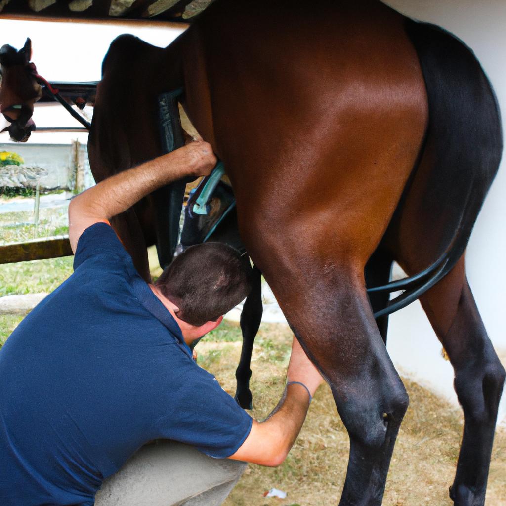 Man adjusting horse's spinal alignment